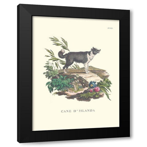 French Dogs II Black Modern Wood Framed Art Print with Double Matting by Unknown