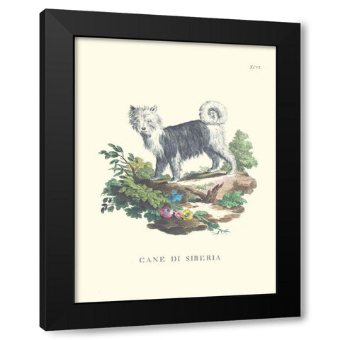 French Dogs IV Black Modern Wood Framed Art Print by Unknown