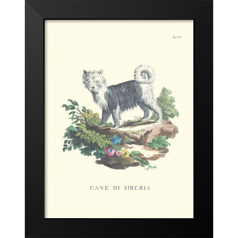 French Dogs IV Black Modern Wood Framed Art Print by Unknown
