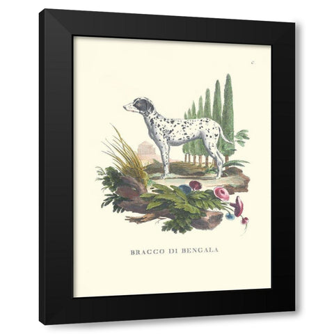 French Dogs V Black Modern Wood Framed Art Print with Double Matting by Unknown