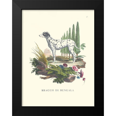 French Dogs V Black Modern Wood Framed Art Print by Unknown