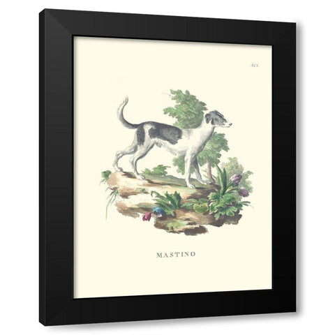 French Dogs VI Black Modern Wood Framed Art Print with Double Matting by Unknown