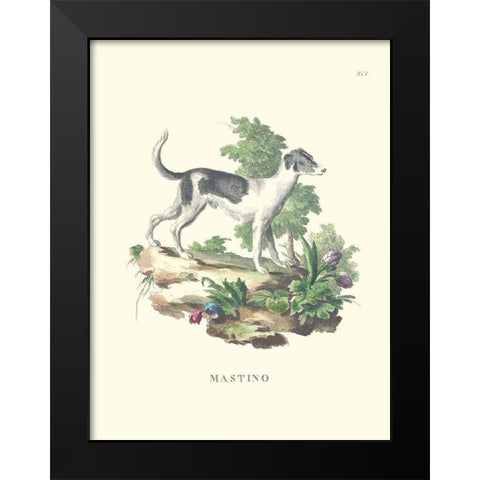 French Dogs VI Black Modern Wood Framed Art Print by Unknown