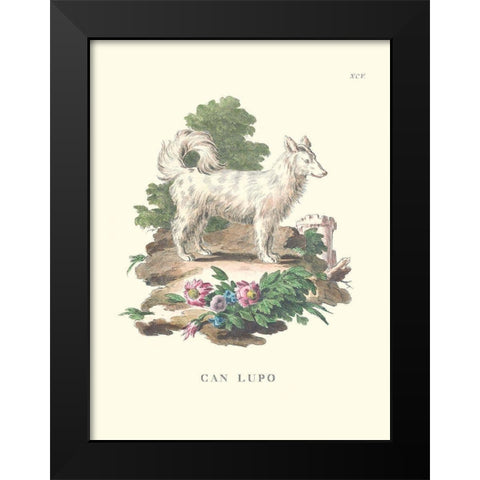 French Dogs VII Black Modern Wood Framed Art Print by Unknown
