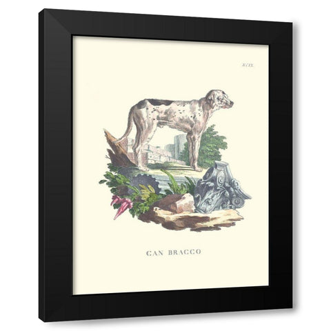 French Dogs VIII Black Modern Wood Framed Art Print with Double Matting by Unknown