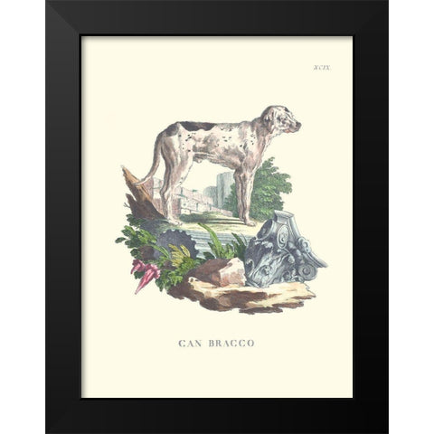 French Dogs VIII Black Modern Wood Framed Art Print by Unknown