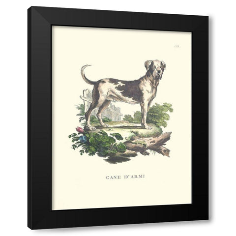 French Dogs IX Black Modern Wood Framed Art Print by Unknown