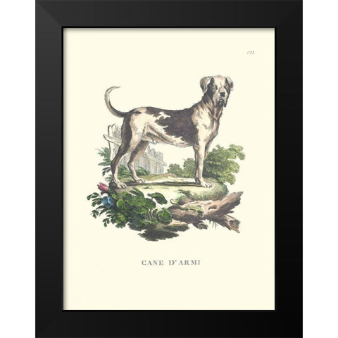 French Dogs IX Black Modern Wood Framed Art Print by Unknown
