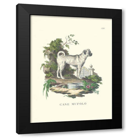 French Dogs X Black Modern Wood Framed Art Print by Unknown