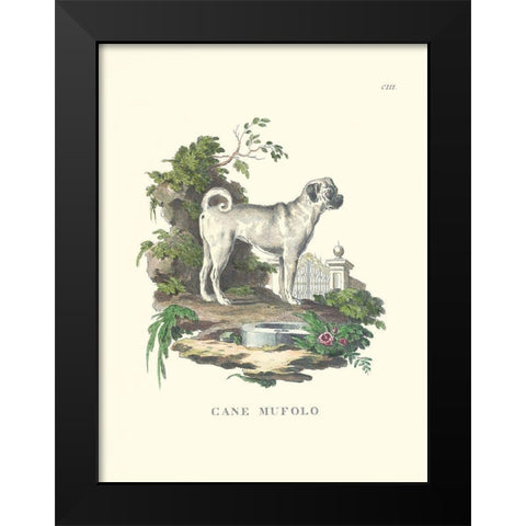 French Dogs X Black Modern Wood Framed Art Print by Unknown