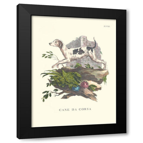French Dogs XI Black Modern Wood Framed Art Print by Unknown
