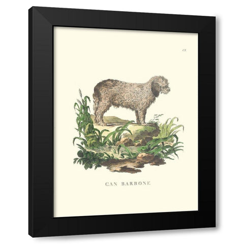 French Dogs XII Black Modern Wood Framed Art Print with Double Matting by Unknown