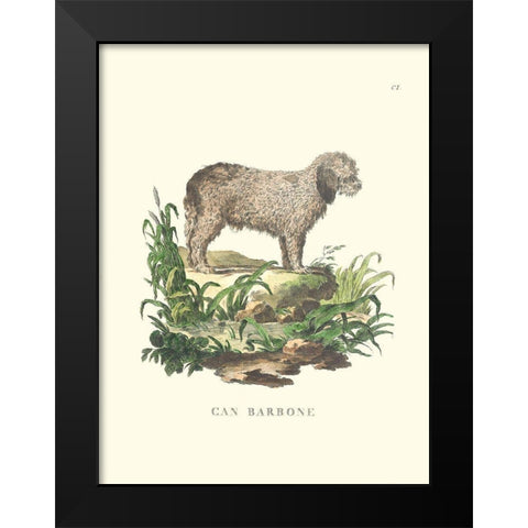 French Dogs XII Black Modern Wood Framed Art Print by Unknown