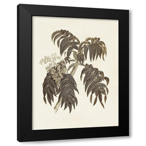 Sepia Botanicals III Black Modern Wood Framed Art Print with Double Matting by Vision Studio