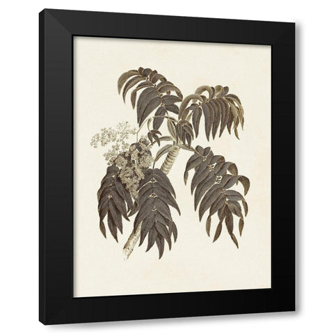 Sepia Botanicals III Black Modern Wood Framed Art Print by Vision Studio