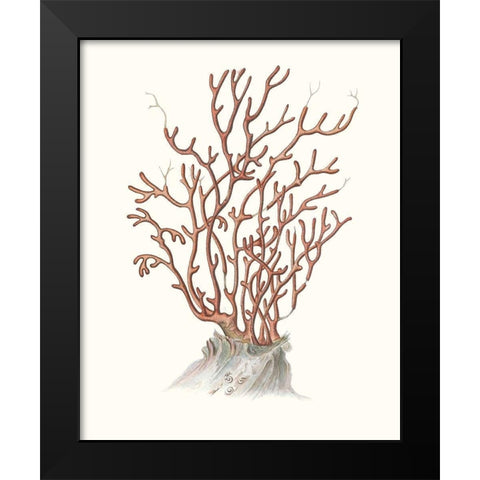 Terra Cotta Coral II Black Modern Wood Framed Art Print by Unknown