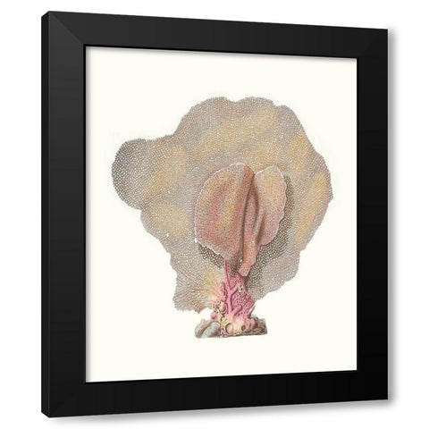 Terra Cotta Coral III Black Modern Wood Framed Art Print with Double Matting by Unknown