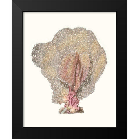 Terra Cotta Coral III Black Modern Wood Framed Art Print by Unknown