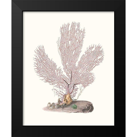 Terra Cotta Coral IV Black Modern Wood Framed Art Print by Unknown