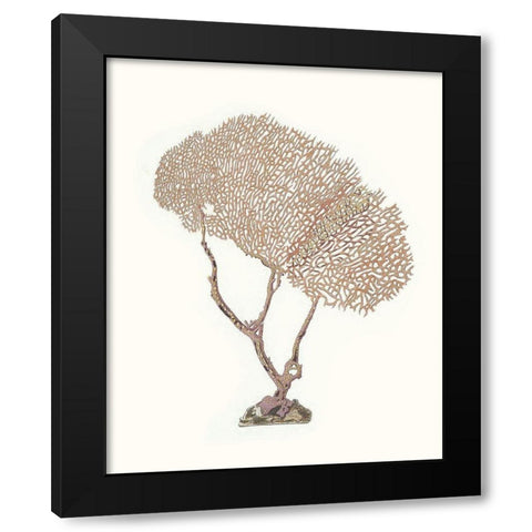Terra Cotta Coral V Black Modern Wood Framed Art Print by Unknown