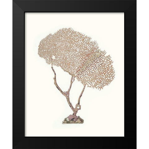 Terra Cotta Coral V Black Modern Wood Framed Art Print by Unknown