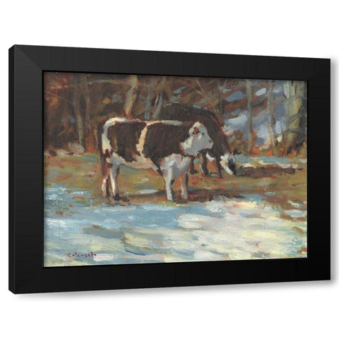 Cows Grazing-Somerset III Black Modern Wood Framed Art Print by Calcasola, Stephen