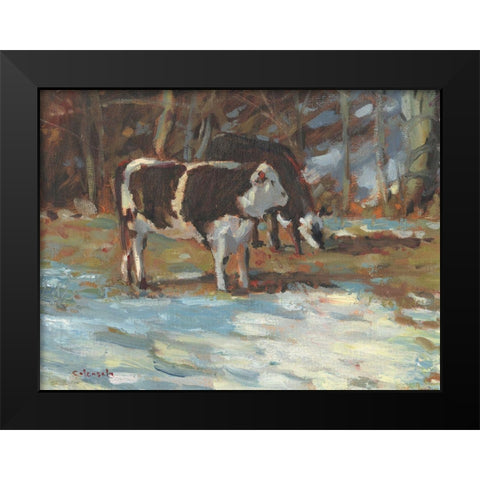 Cows Grazing-Somerset III Black Modern Wood Framed Art Print by Calcasola, Stephen