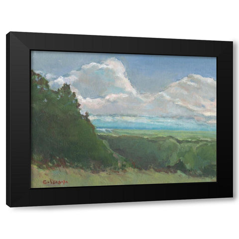 Vista View Black Modern Wood Framed Art Print with Double Matting by Calcasola, Stephen