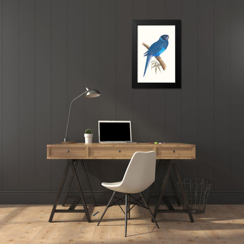 Blue Parrots I Black Modern Wood Framed Art Print by Vision Studio