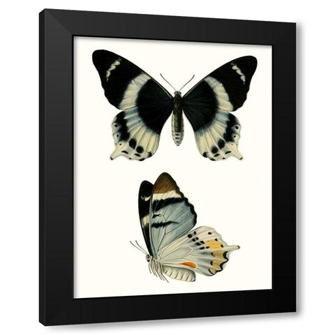 Antique Blue Butterflies I Black Modern Wood Framed Art Print with Double Matting by Vision Studio