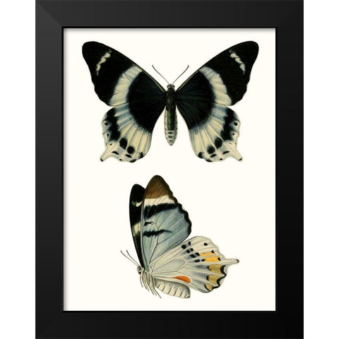 Antique Blue Butterflies I Black Modern Wood Framed Art Print by Vision Studio