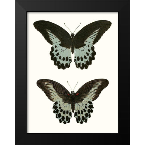 Antique Blue Butterflies II Black Modern Wood Framed Art Print by Vision Studio