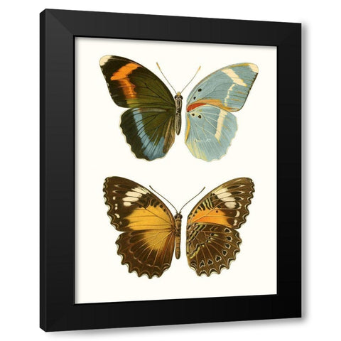 Antique Blue Butterflies III Black Modern Wood Framed Art Print with Double Matting by Vision Studio