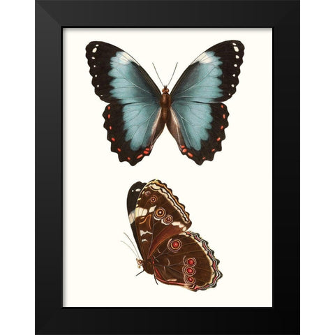 Antique Blue Butterflies IV Black Modern Wood Framed Art Print by Vision Studio