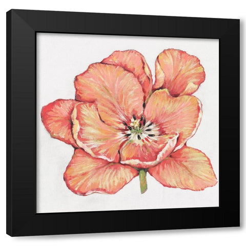 Spring Tulip Bloom I Black Modern Wood Framed Art Print with Double Matting by OToole, Tim