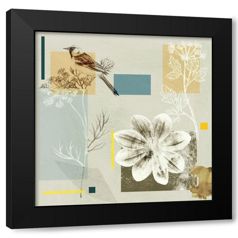 Bird Anatomy II Black Modern Wood Framed Art Print with Double Matting by Wang, Melissa