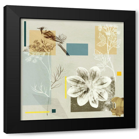 Bird Anatomy II Black Modern Wood Framed Art Print by Wang, Melissa