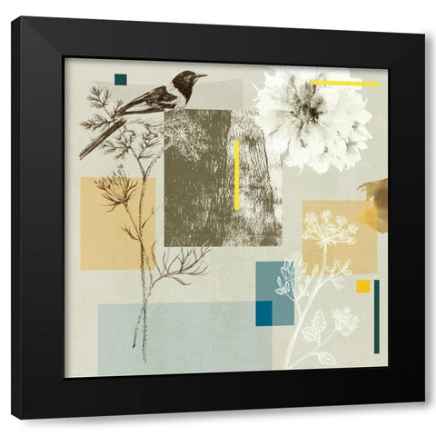 Bird Anatomy IV Black Modern Wood Framed Art Print with Double Matting by Wang, Melissa