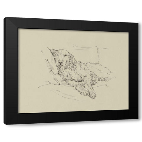 Golden Sketch II Black Modern Wood Framed Art Print by Harper, Ethan