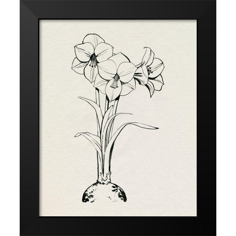 Christmas Amaryllis I Black Modern Wood Framed Art Print by Popp, Grace