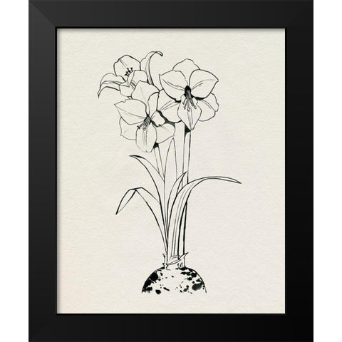 Christmas Amaryllis II Black Modern Wood Framed Art Print by Popp, Grace