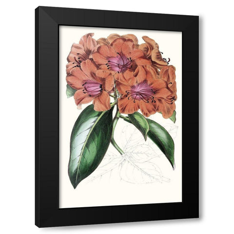 Paxton Tropicals I Black Modern Wood Framed Art Print by Paxton