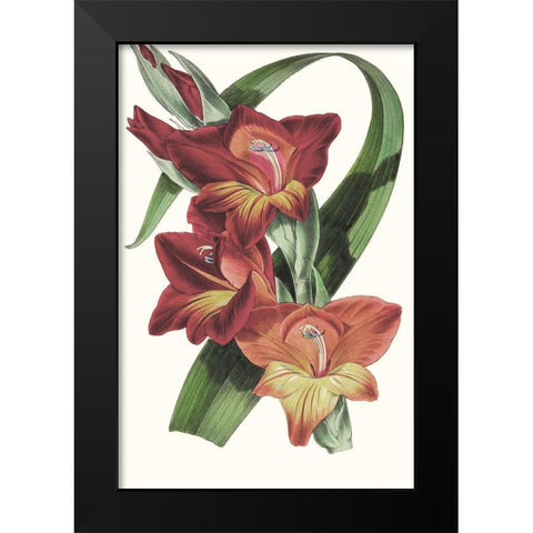 Paxton Tropicals II Black Modern Wood Framed Art Print by Paxton