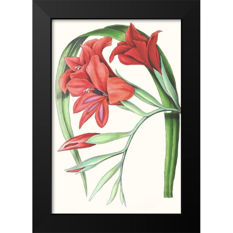 Paxton Tropicals V Black Modern Wood Framed Art Print by Paxton