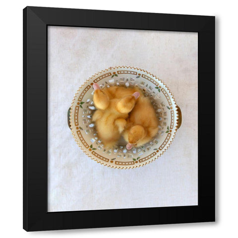Floradanica with Ducklings Black Modern Wood Framed Art Print by Soderman, Tania