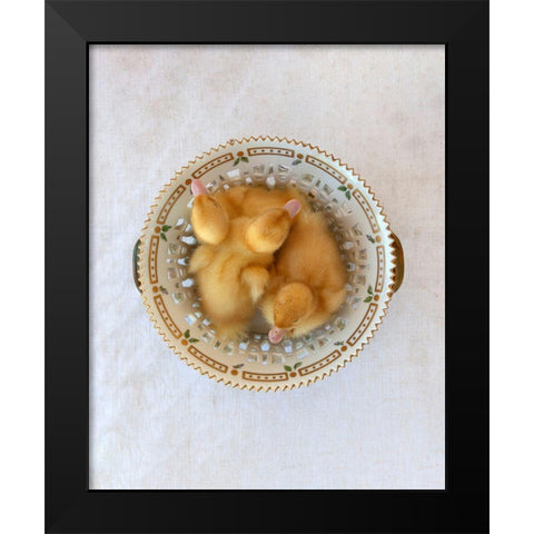 Floradanica with Ducklings Black Modern Wood Framed Art Print by Soderman, Tania