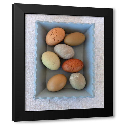 Rainbow Eggs in Blue Box Black Modern Wood Framed Art Print by Soderman, Tania