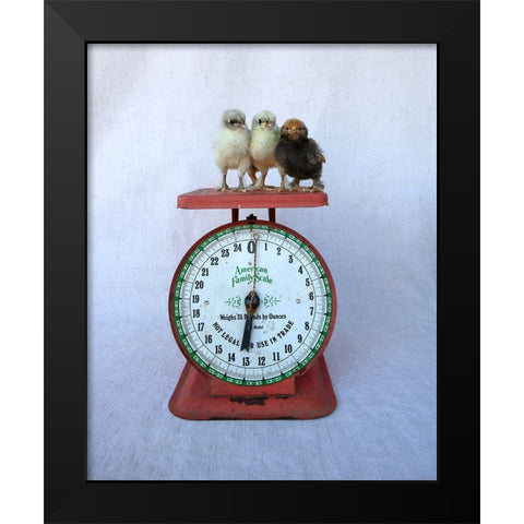 Chicks on Red Scale Black Modern Wood Framed Art Print by Soderman, Tania