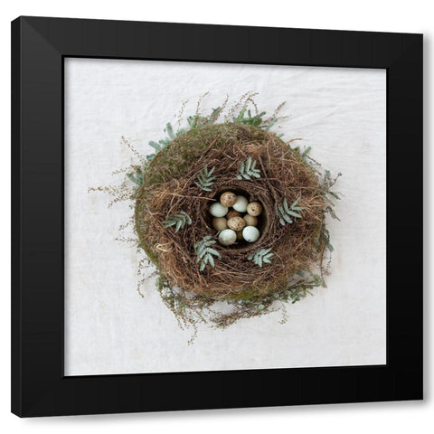 Winter Nest Black Modern Wood Framed Art Print by Soderman, Tania