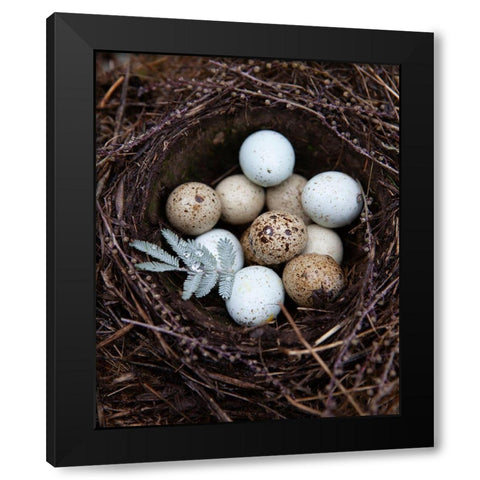 Winter Nest Detail I Black Modern Wood Framed Art Print with Double Matting by Soderman, Tania